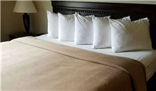 Comfort Inn Florence Oregon Hotel - Guest Room