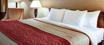 Florence Hotel Sand Dunes Package
